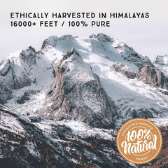 Pure Himalayan Shilajit authentic Ayurvedic extraction process illustrated with traditional tools.