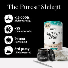 Pure Himalayan Shilajit resin dissolving in warm water for easy daily use