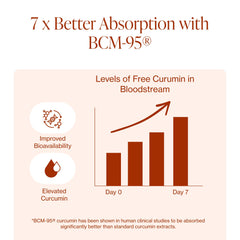 Pure Micronutrients-black-pepper-bioavailability illustrates enhanced curcumin absorption