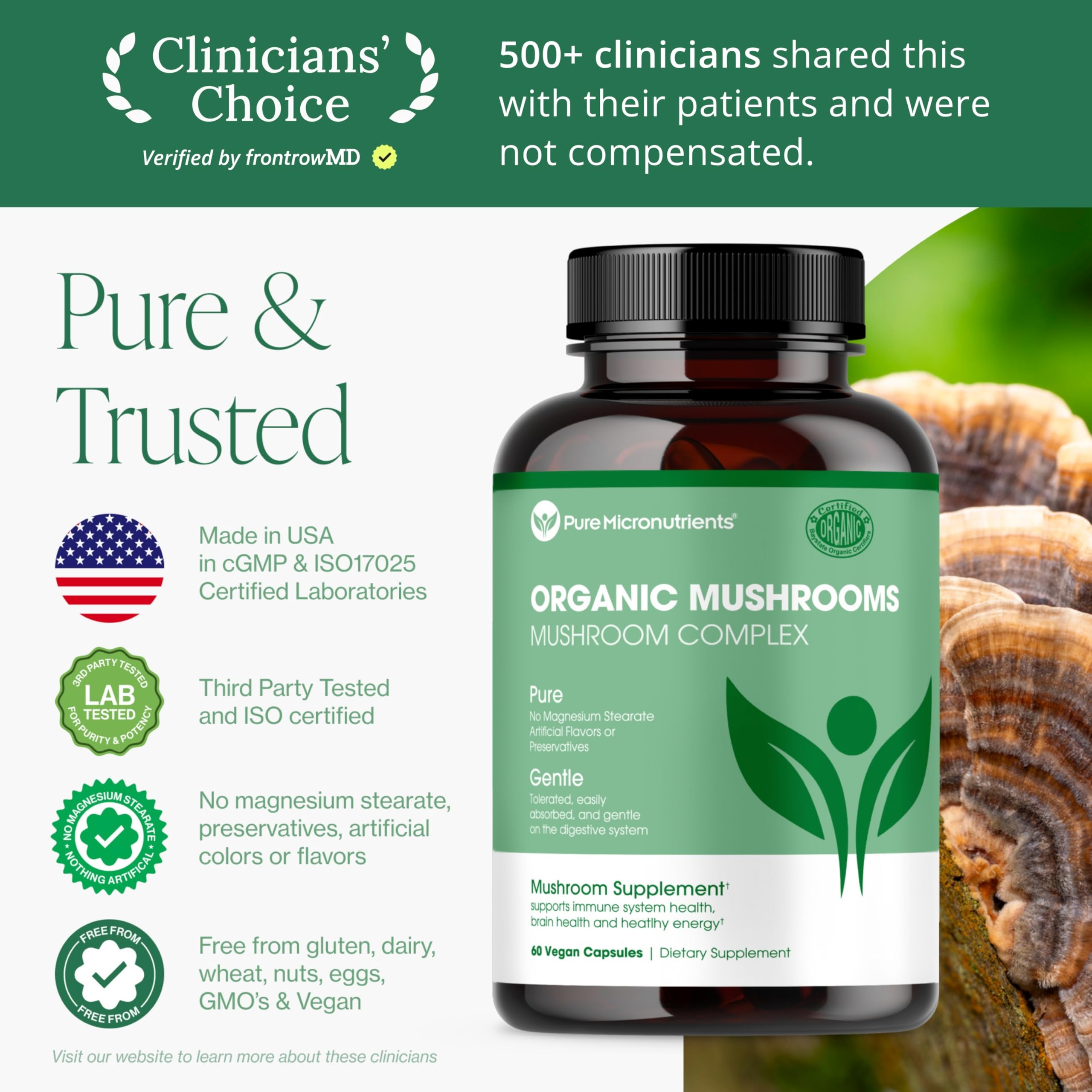 Pure Micronutrients Reishi capsules positioned for daily energy and mental focus.