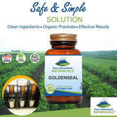 Pure Mountain Botanicals Goldenseal root powder image emphasizes organic origin.