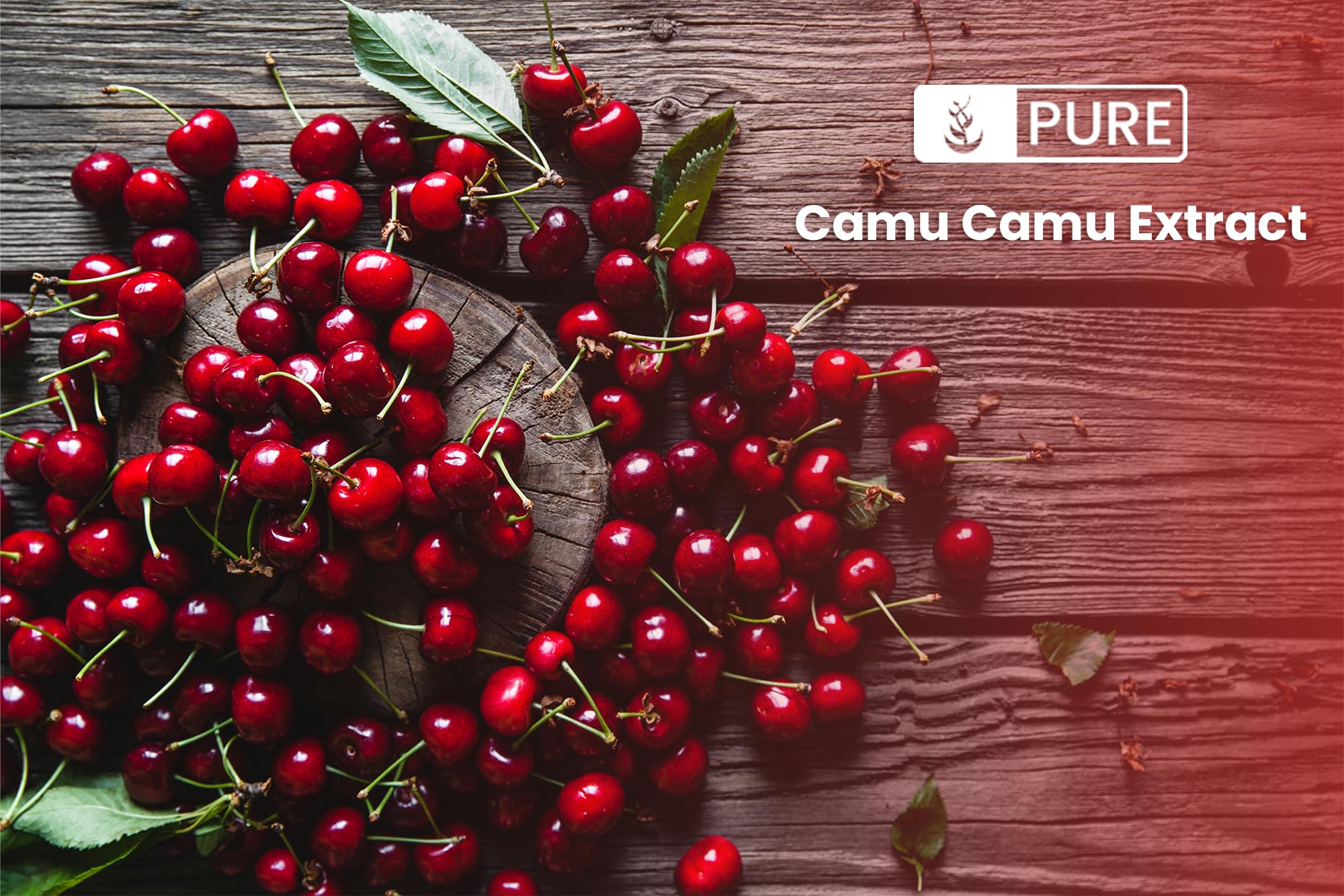 PURE ORIGINAL INGREDIENTS Camu Camu packaging close-up shows trusted quality seal