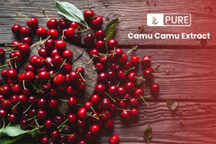 PURE ORIGINAL INGREDIENTS Camu Camu packaging close-up shows trusted quality seal