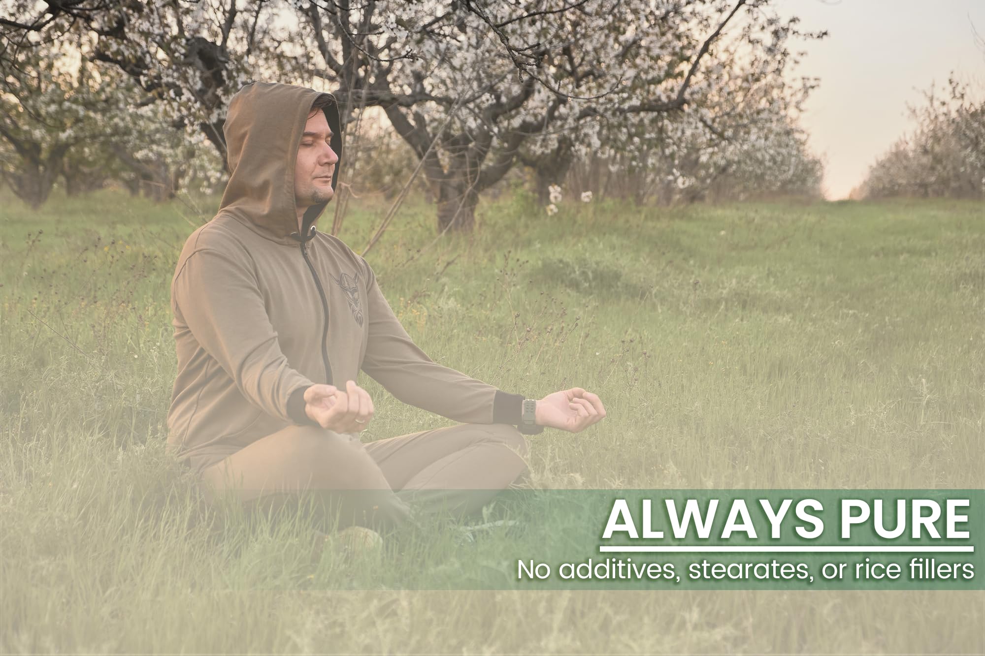 Pure Original Ingredients Houttuynia Cordata capsules inside the bottle
