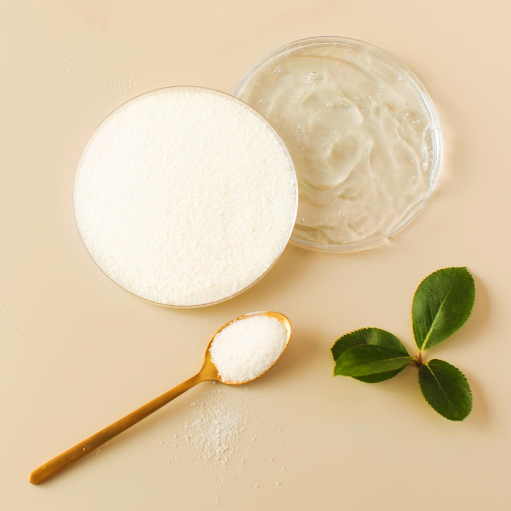 Pure Original Ingredients Hyaluronic Acid Powder jar emphasizes compact, storage-friendly packaging.