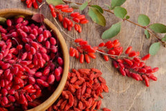 Lab-verified seal on Pure Original Ingredients Berberine packaging.