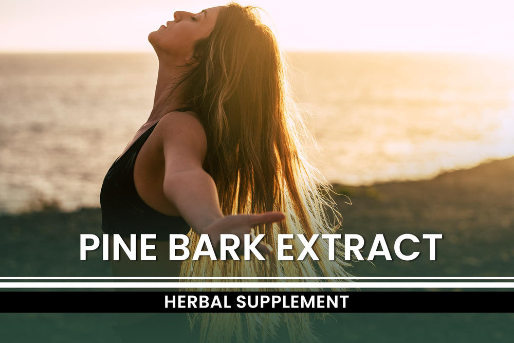 Pure Original Ingredients Pine Bark Extract 730 capsules indicating a convenient year-long supply.