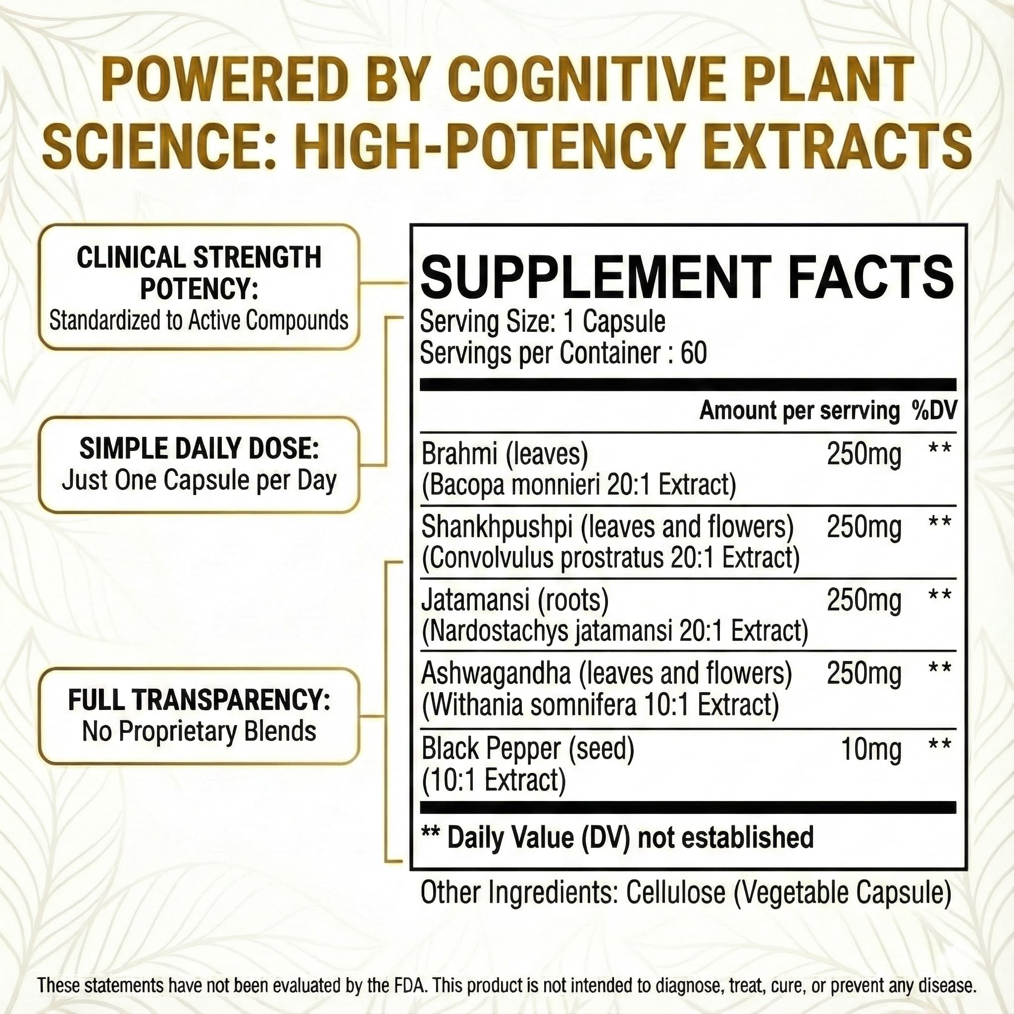 Pure Prana Ashwagandha capsules in hand for focused daily use.