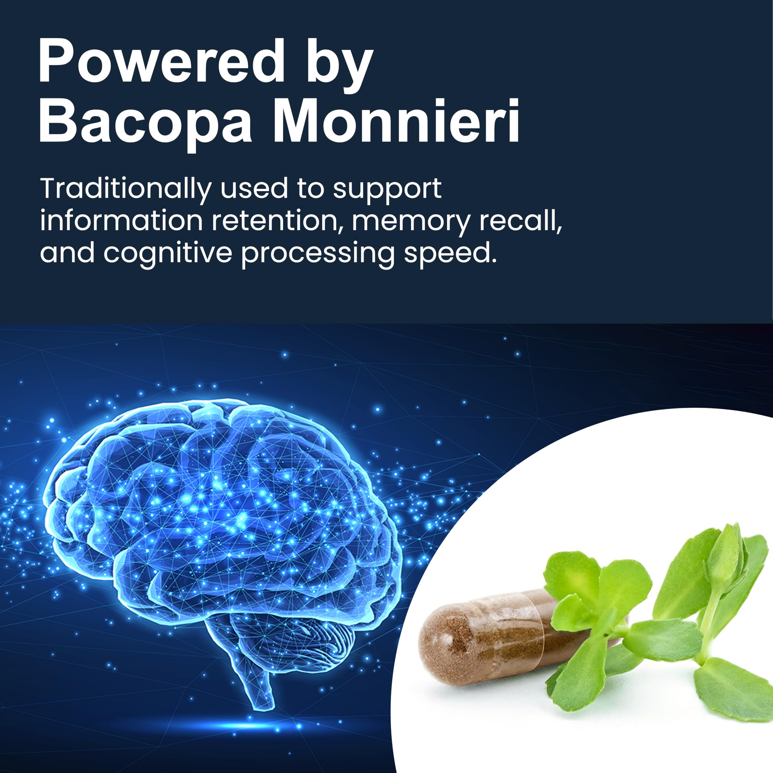 Pure Prana daily dosage capsules illustrate easy vegan brain wellness routine.