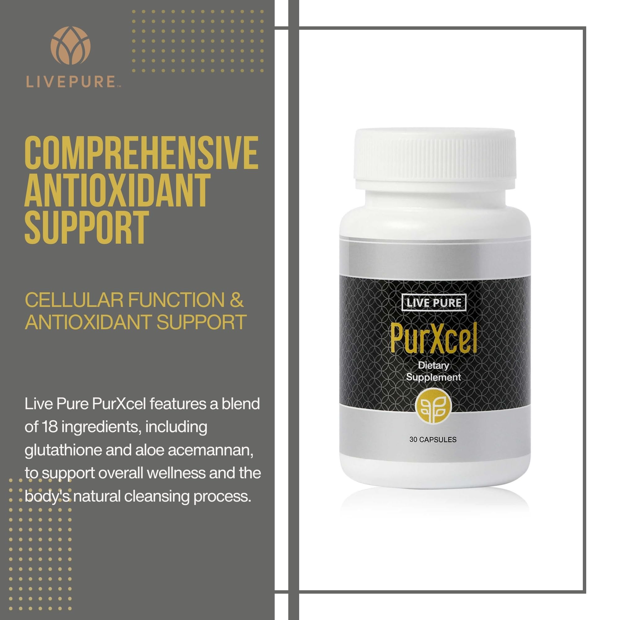 PURE PurXcel capsules close-up illustrating convenient daily antioxidant intake
