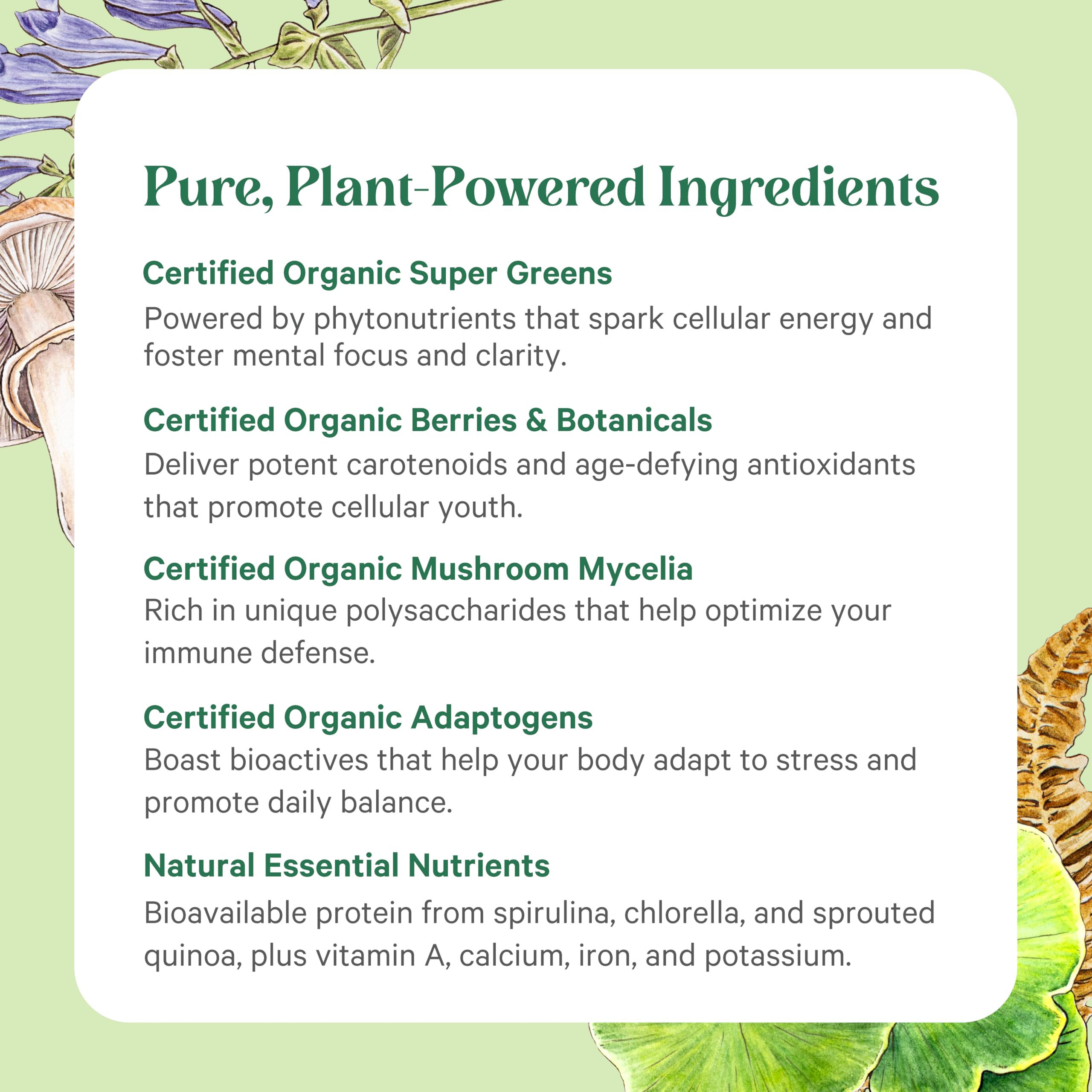 PURE SYNERGY logo with B Corp certifications signaling clean ingredients