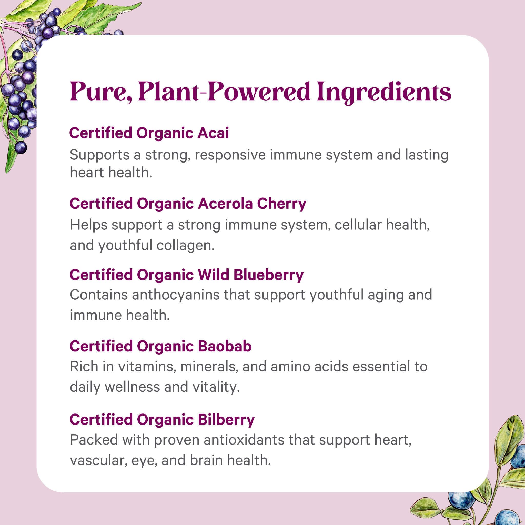 Pure Synergy Berry Power ingredients label confirms organic, dairy-free, vegan content