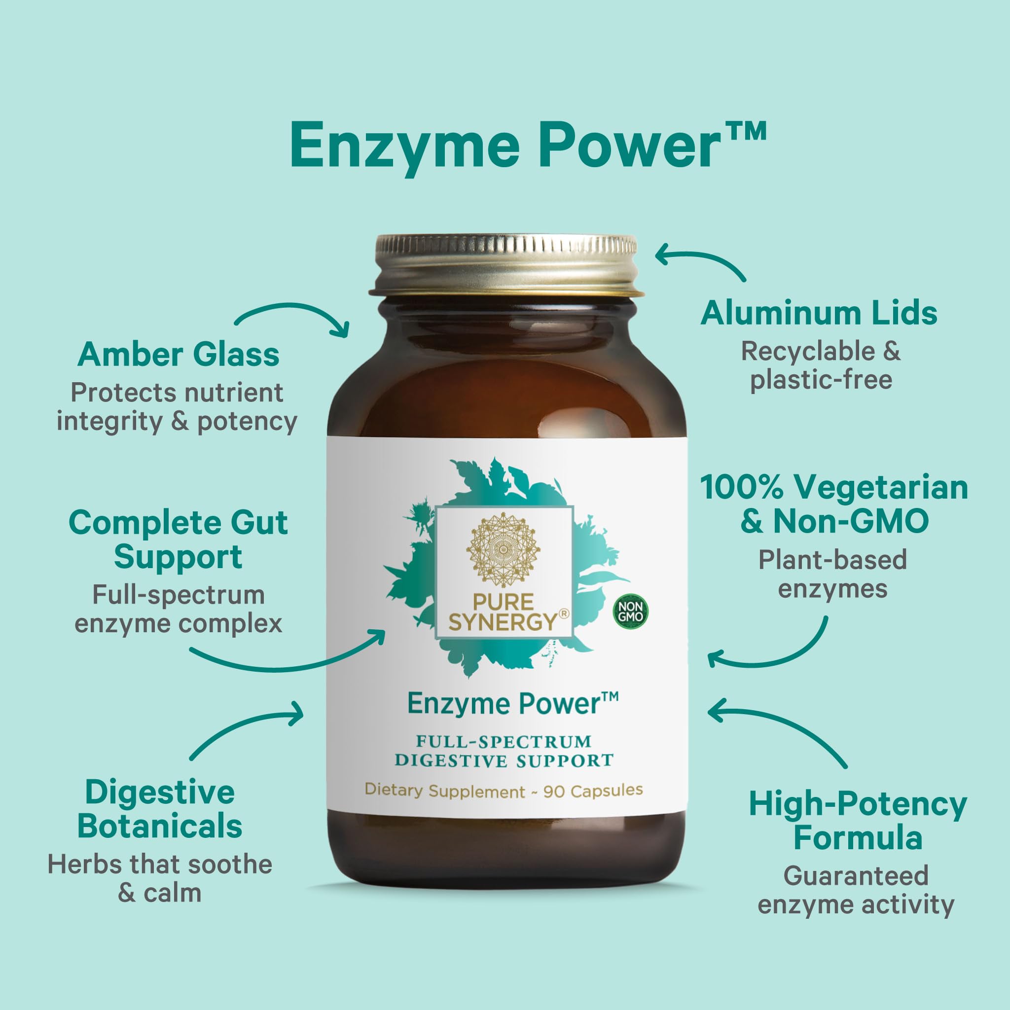 Pure Synergy Enzyme Power ingredients highlight with nattokinase and bromelain