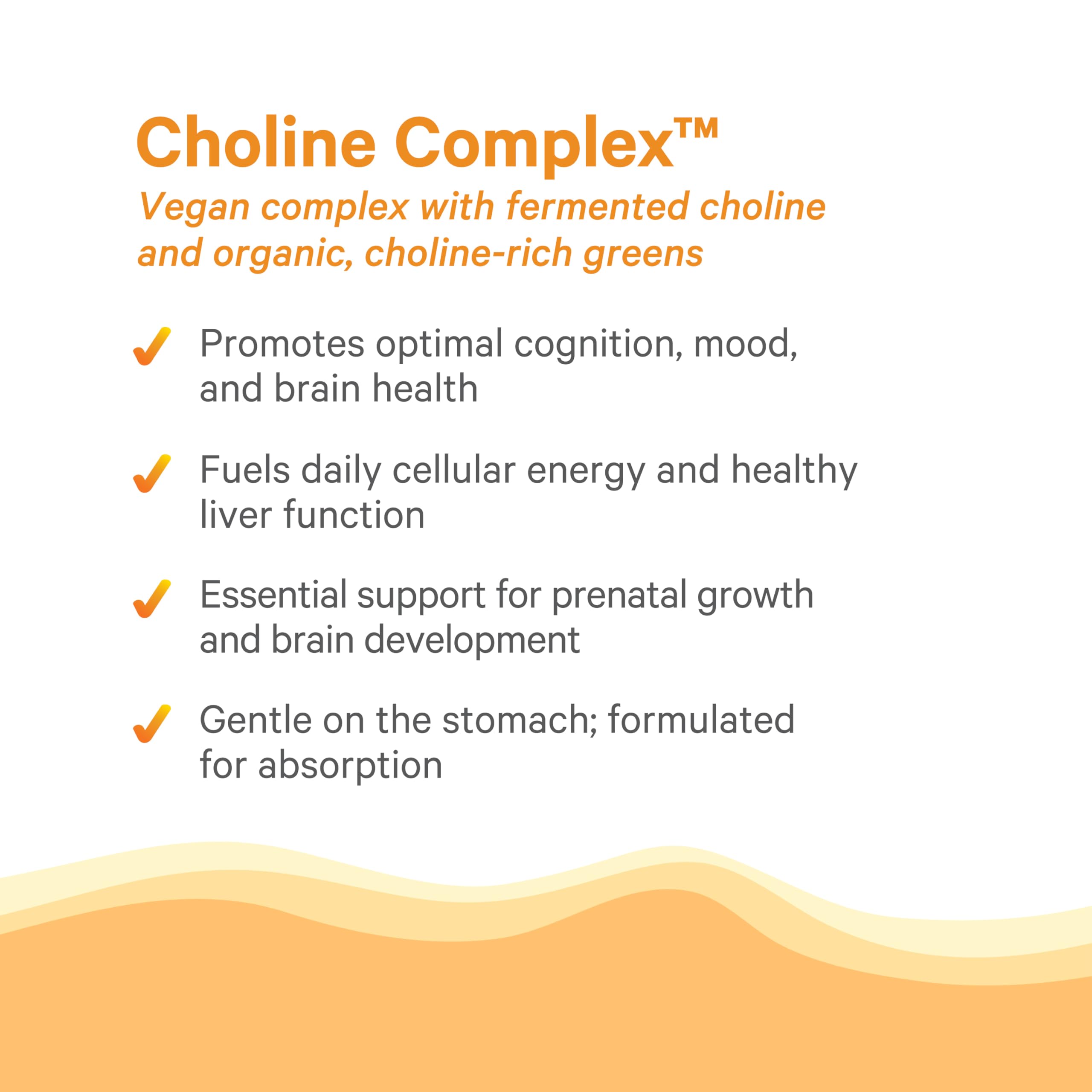 Graphic illustration of bioavailable choline from fermented foods in PURE SYNERGY.