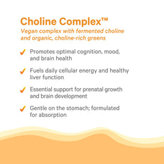 Graphic illustration of bioavailable choline from fermented foods in PURE SYNERGY.
