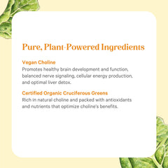 USA-made badge on PURE SYNERGY packaging reflecting quality and transparency.