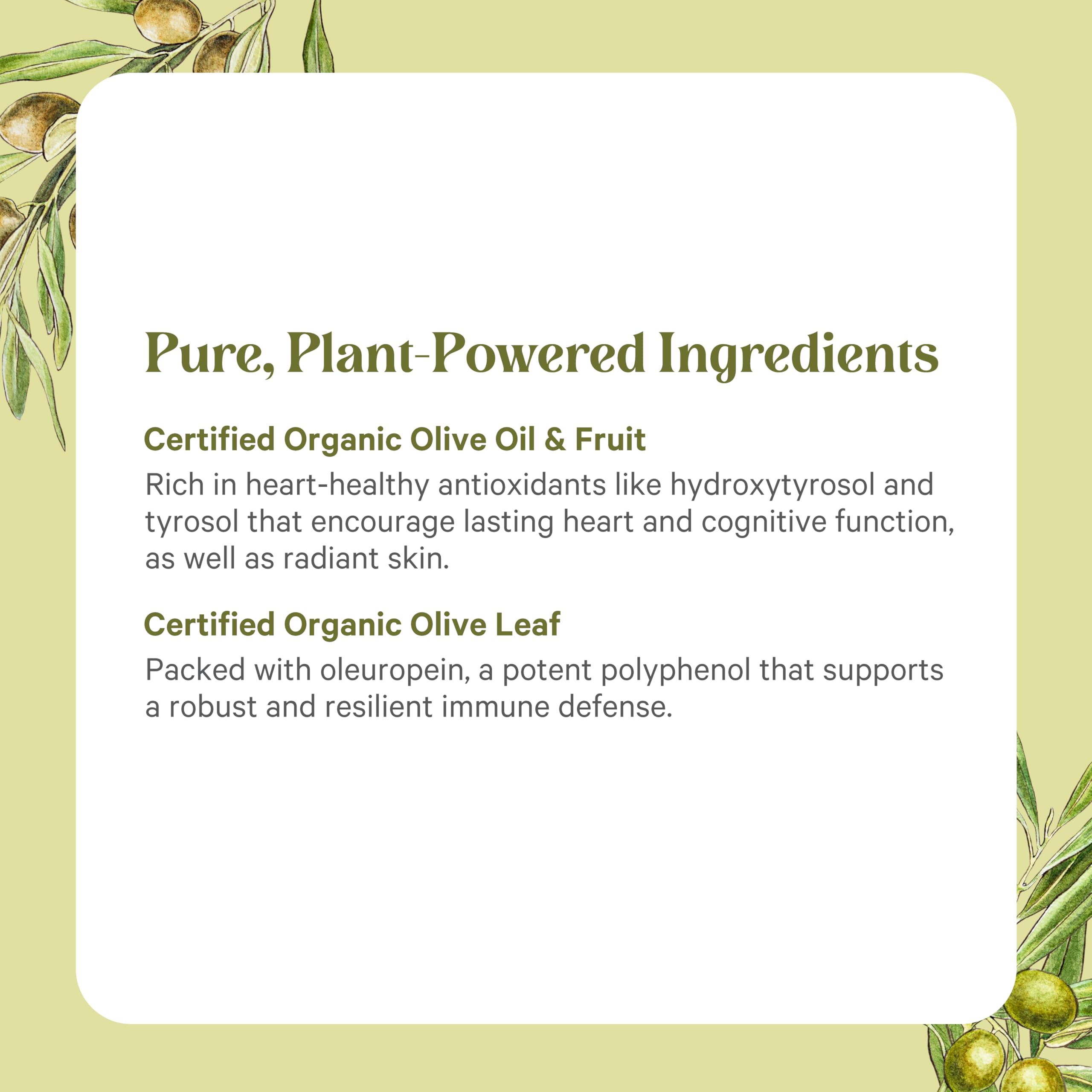 Pure Synergy packaging eco-friendly box underscores eco-conscious daily wellness choice