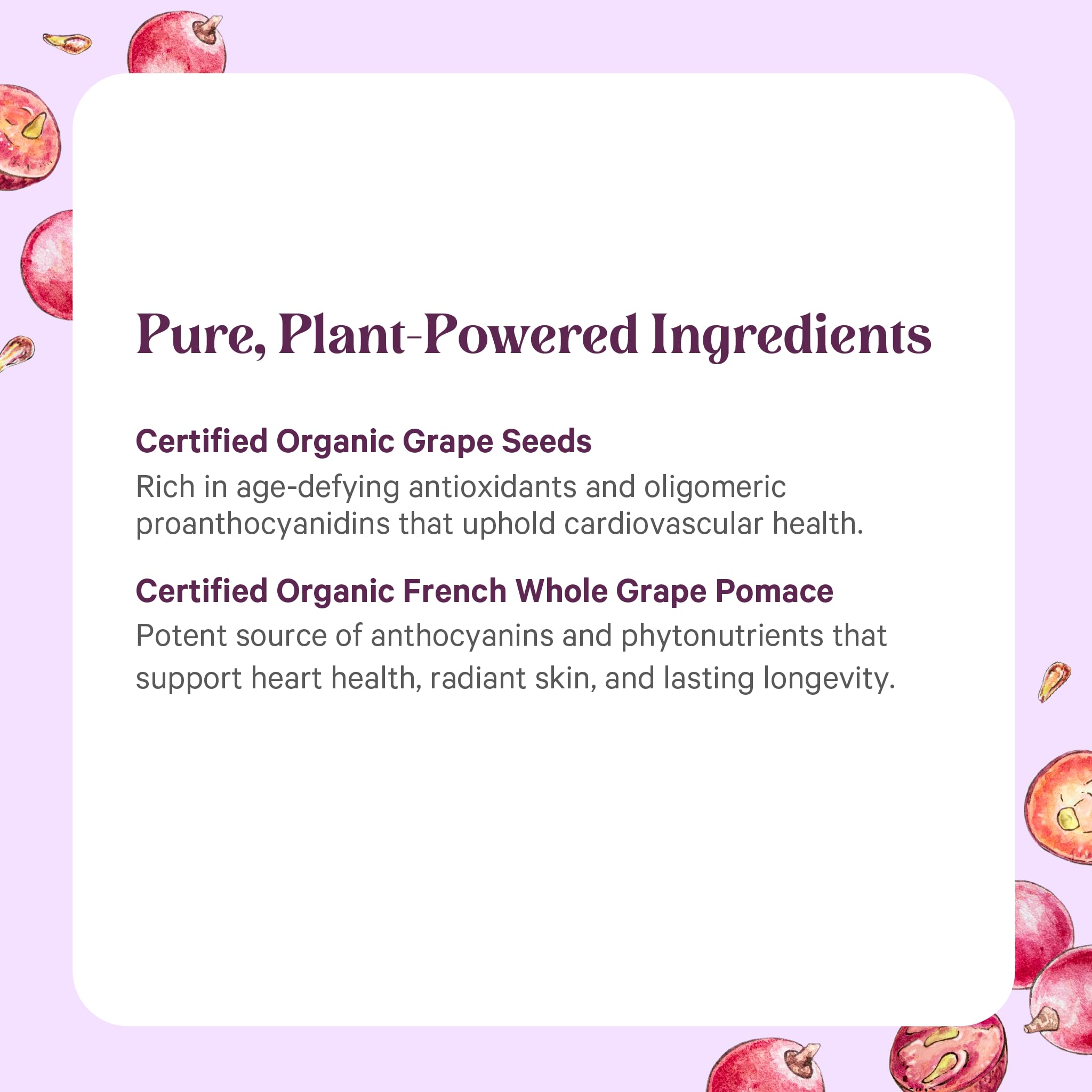 Pure Synergy SuperPure capsule close-up with natural antioxidants concept for daily wellness support.