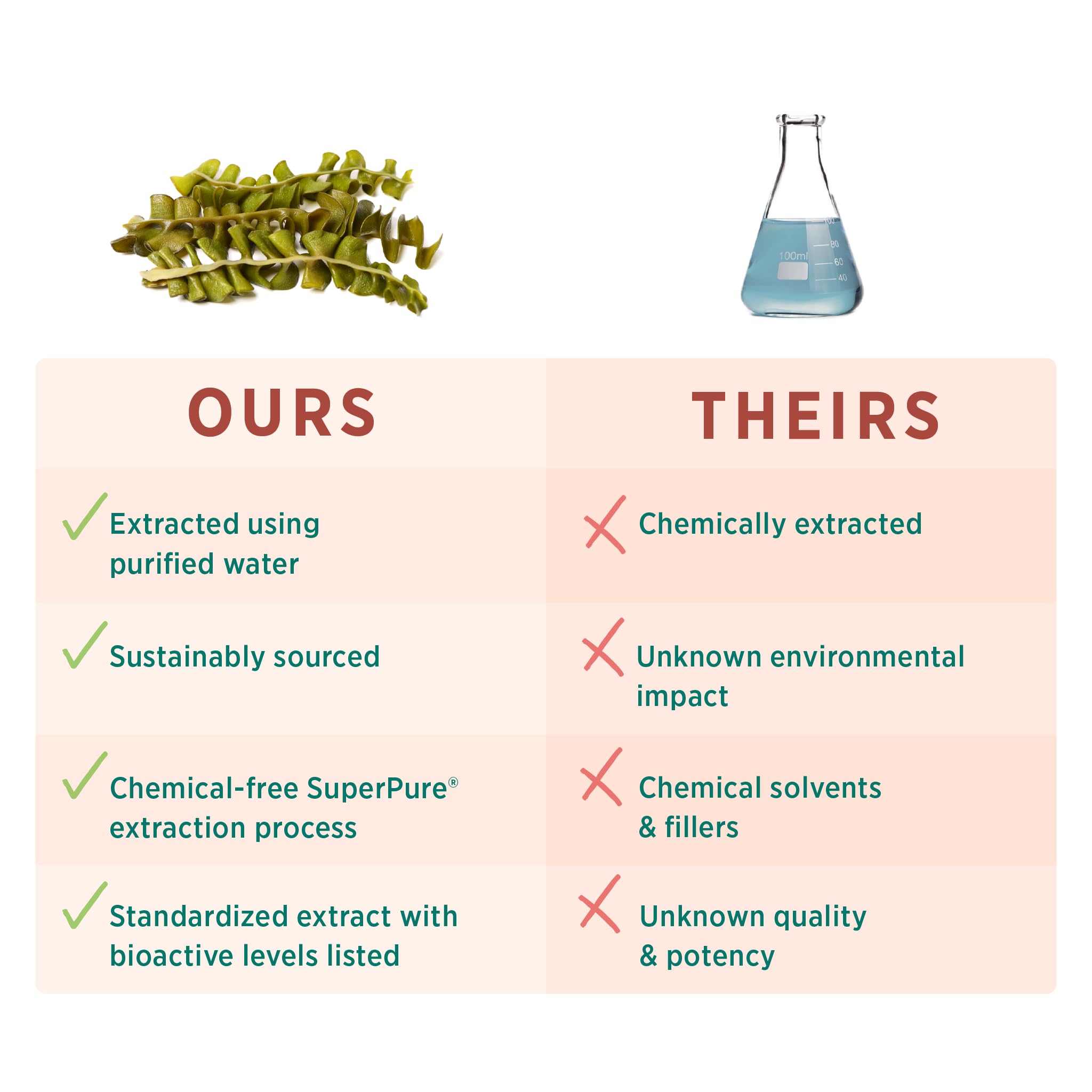 Organic Undaria pinnatifida seaweed illustration emphasizes sustainable source.