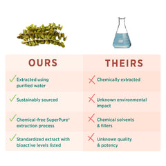 Organic Undaria pinnatifida seaweed illustration emphasizes sustainable source.