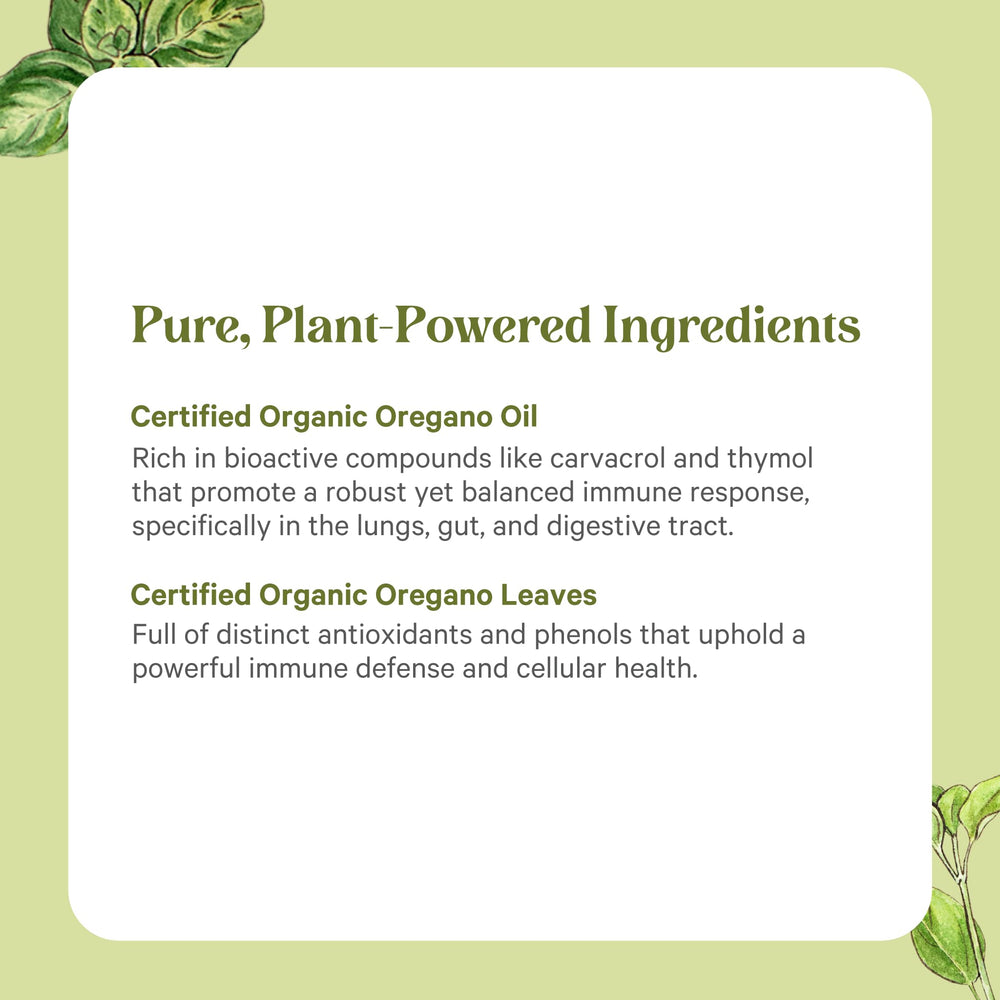 Oregano extract bottle on kitchen counter, easy daily immune support ritual.