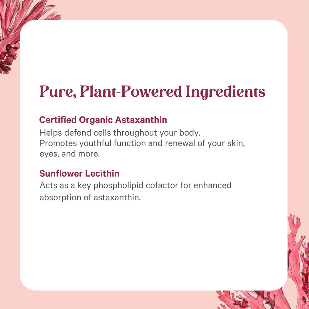 Sunflower lecithin enhances absorption in Pure Synergy SuperPure