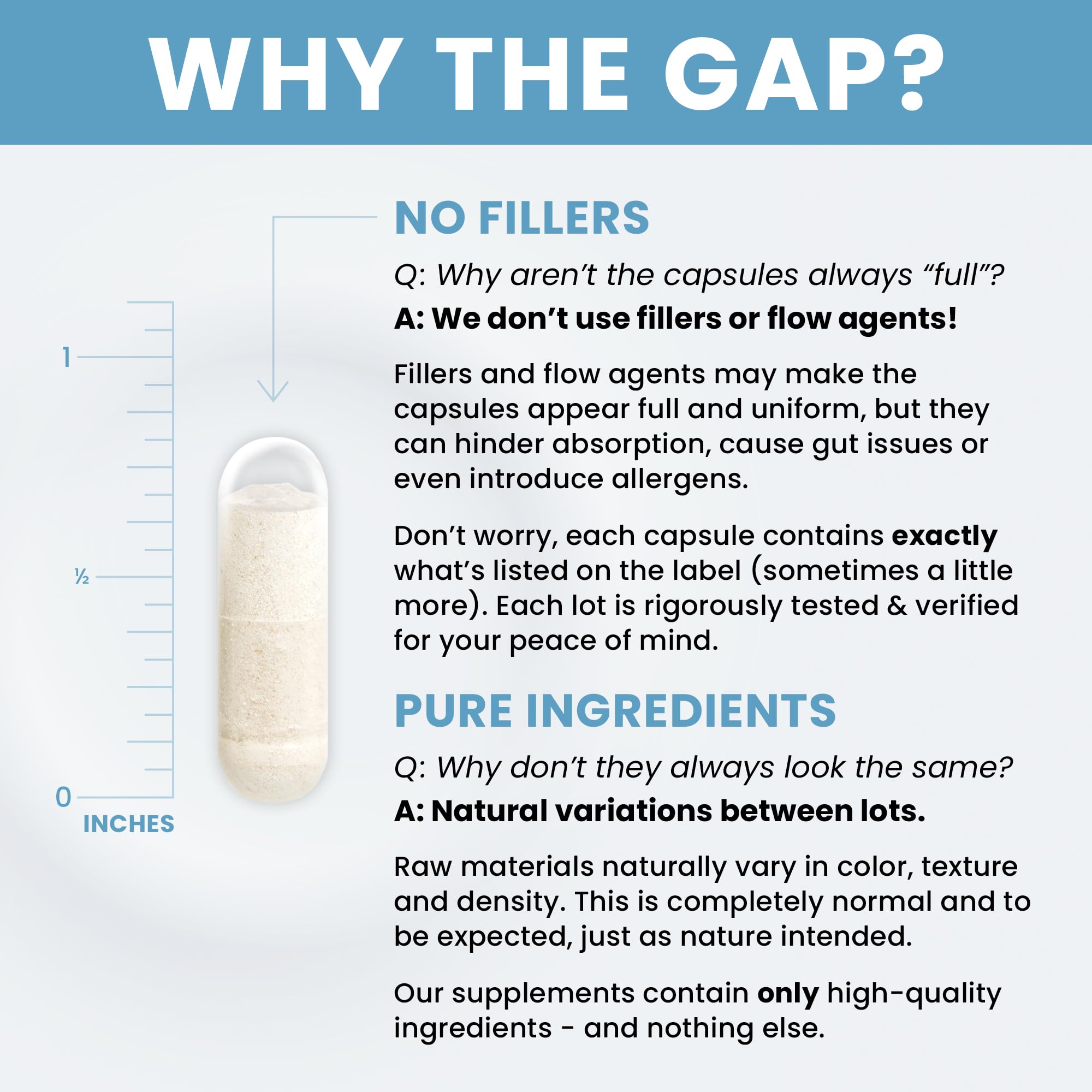 Multi-strain Power Probiotic 100B supports balanced gut flora