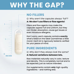 Multi-strain Power Probiotic 100B supports balanced gut flora
