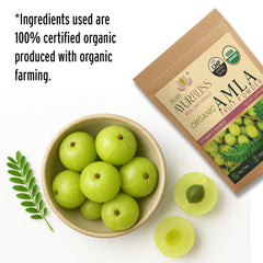 PureAyurbliss amla powder bottle label highlighting vegan and gluten-free attributes
