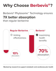PURECRAFT Berberine phytosome diagram illustrates improved absorption performance.