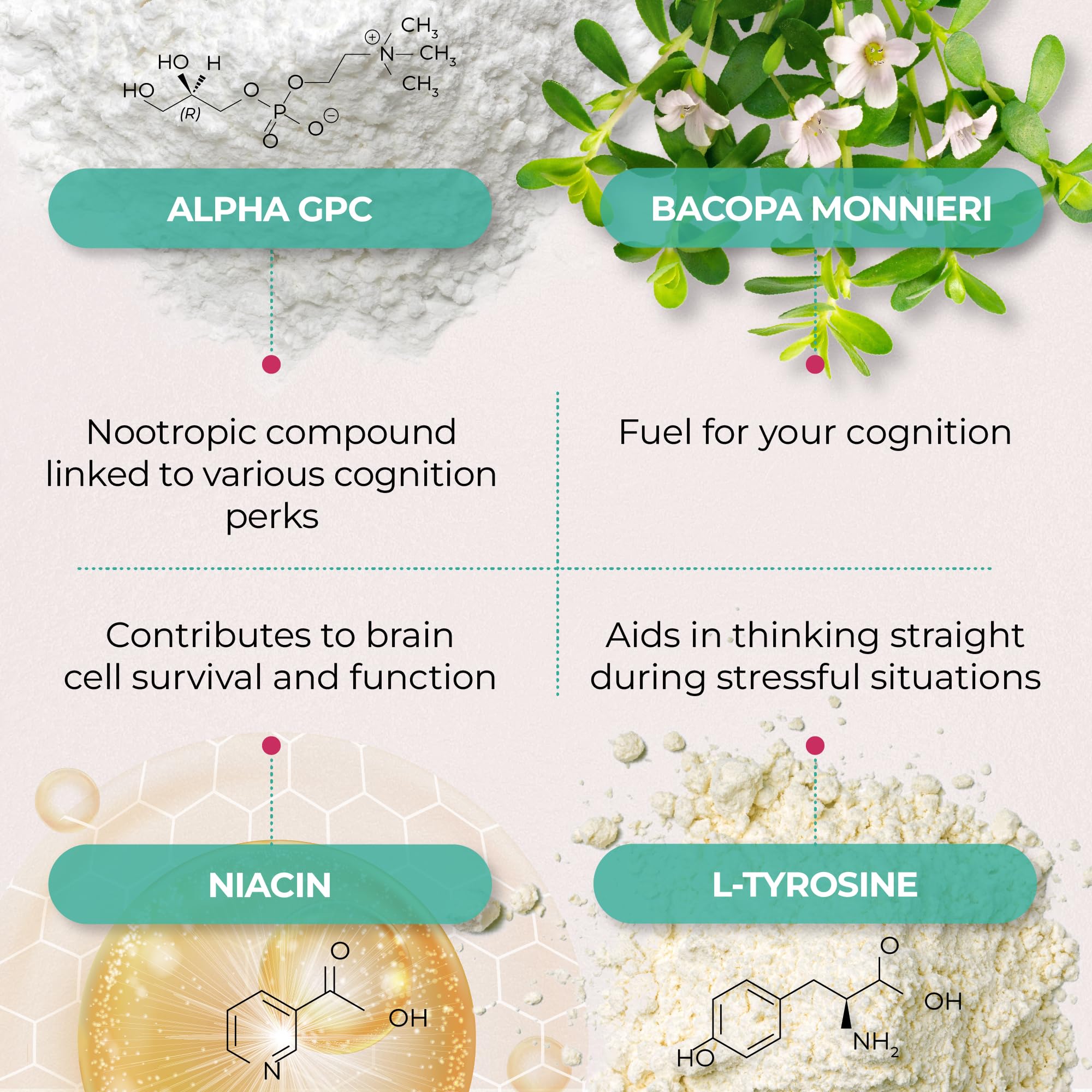 Ageless Brain capsules being poured to suggest daily cognitive support and focus