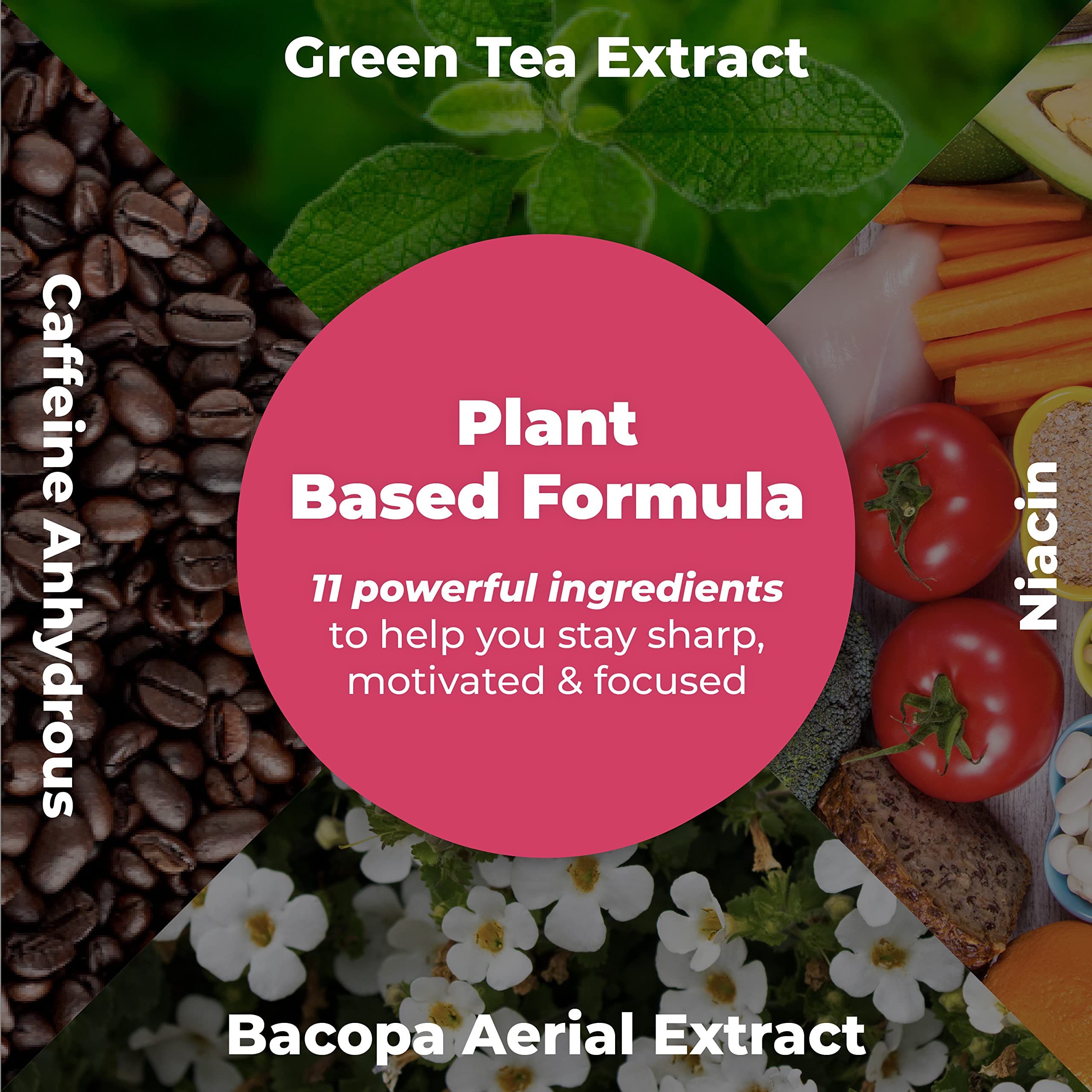 PUREHEALTH RESEARCH Ageless Brain supplement overview image highlights key brain-health ingredients.