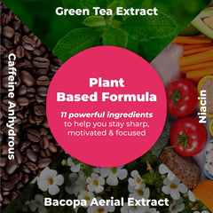 PUREHEALTH RESEARCH Ageless Brain supplement overview image highlights key brain-health ingredients.