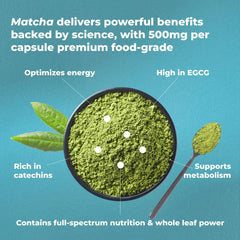 PUREHEALTH RESEARCH Matcha on desk scene with a healthy lifestyle vibe