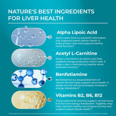 PureHealth Research Nerve Regen USA-made quality seal