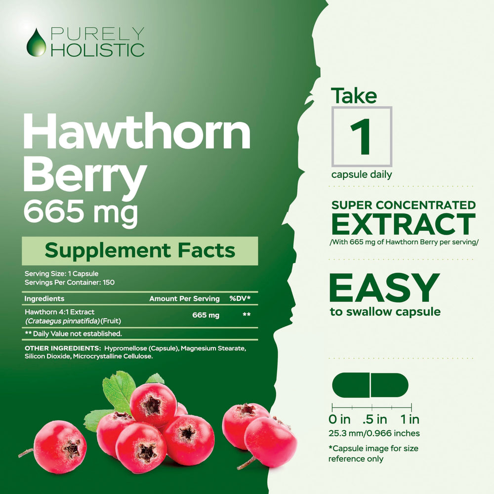 Purely Holistic Hawthorn Berry capsules close-up highlighting high-strength extract.