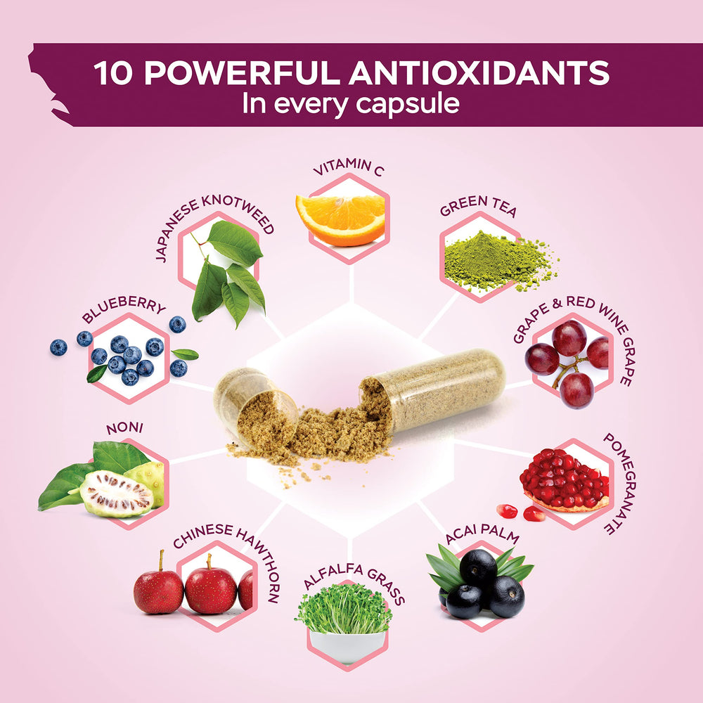 Purely Holistic Resveratrol polyphenols blend closeup emphasizing natural antioxidant power.