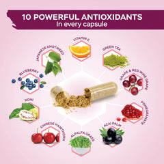Purely Holistic Resveratrol polyphenols blend closeup emphasizing natural antioxidant power.