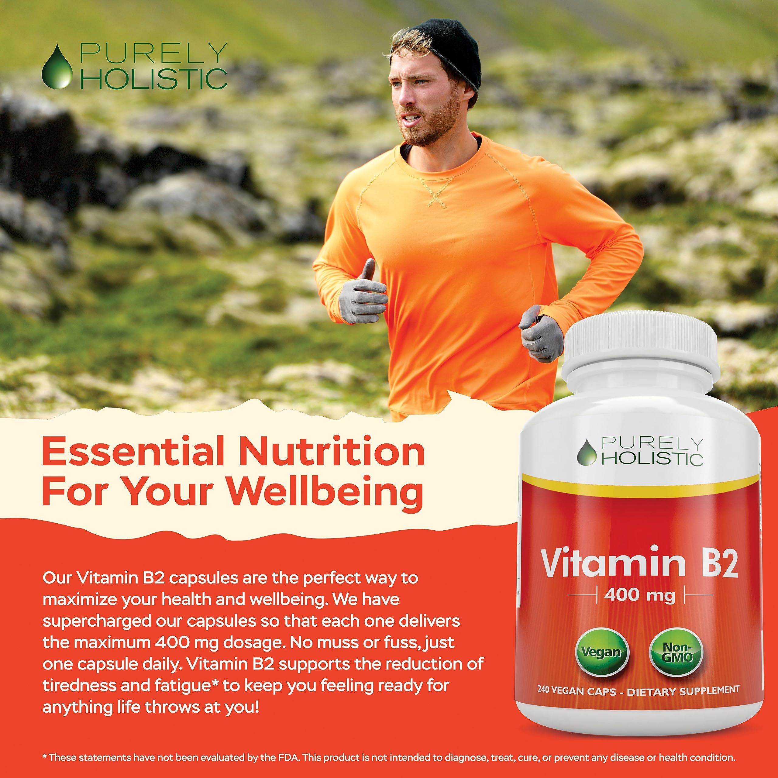 Purely Holistic Vitamin B2 ingredients highlight showing bioavailability and quality