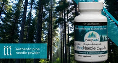 Purely Wild Dr. Cass Ingram daily-use capsules with forest backdrop and wellness vibe