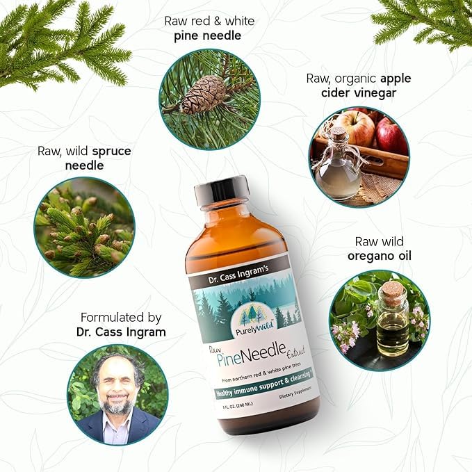 Forest-sourced pine needles from Purely Wild emphasizing sustainable harvesting