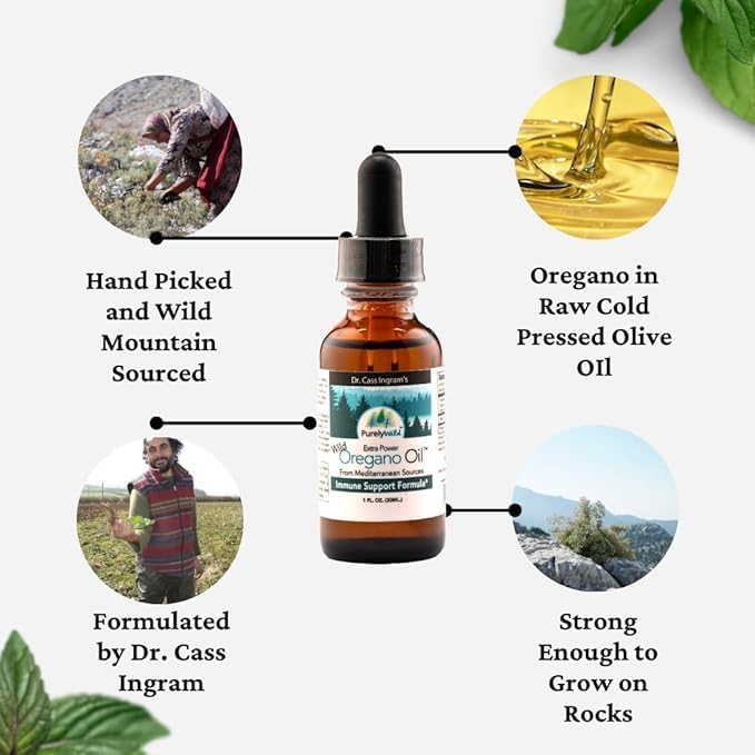 Purely Wild Mediterranean wild oregano plants harvested for potent oil.