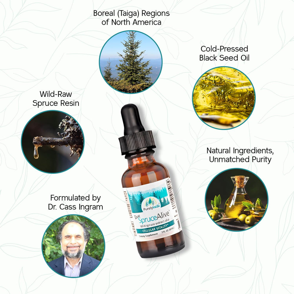 PURELY WILD SpruceAlive resin close-up shows raw spruce extract.