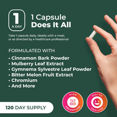 PurePremium bottle rests on a desk with natural light for everyday wellness.
