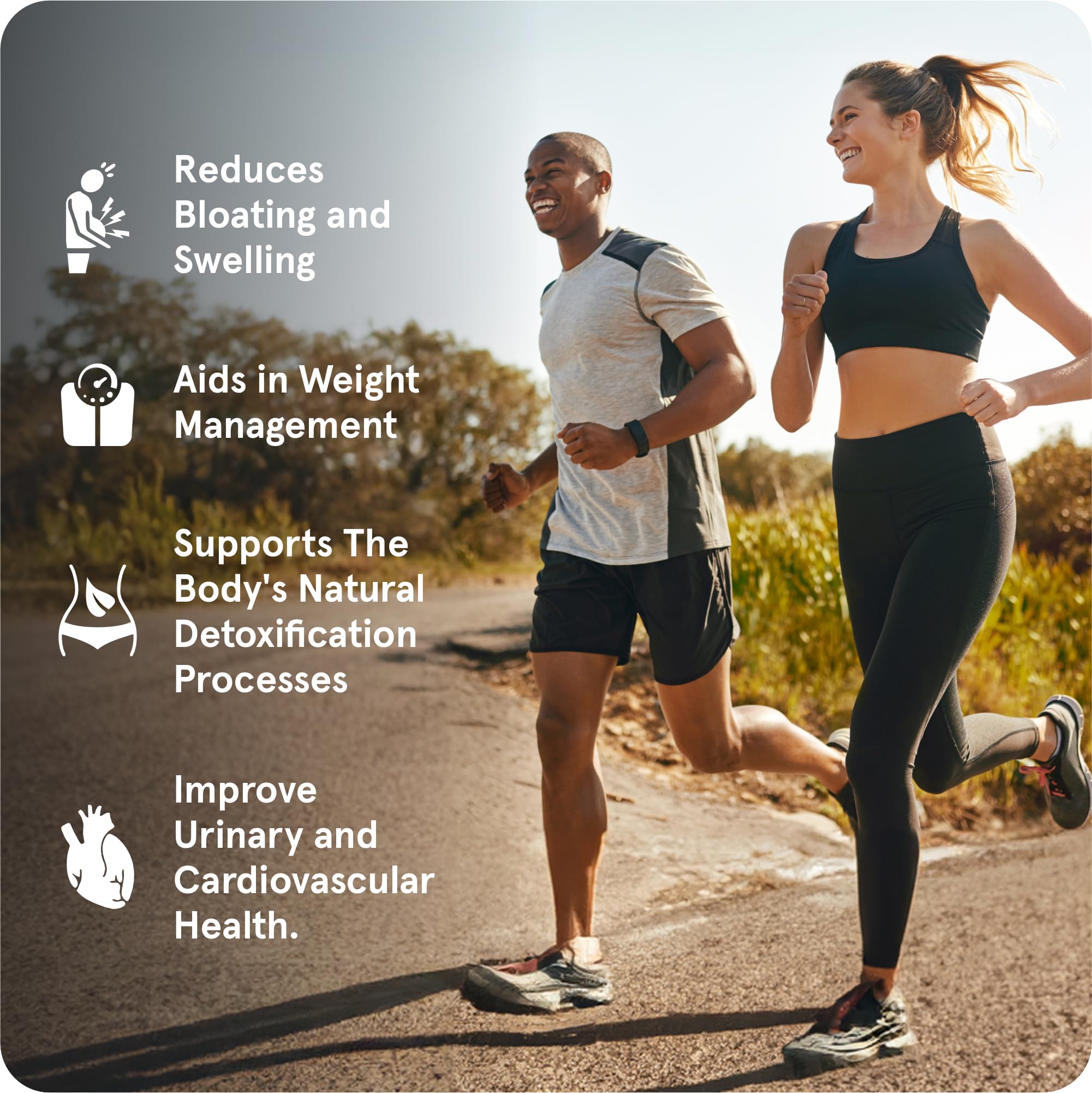 PureRoots Biotrim 4 to 1 extracts close-up emphasizing concentrated herbal power