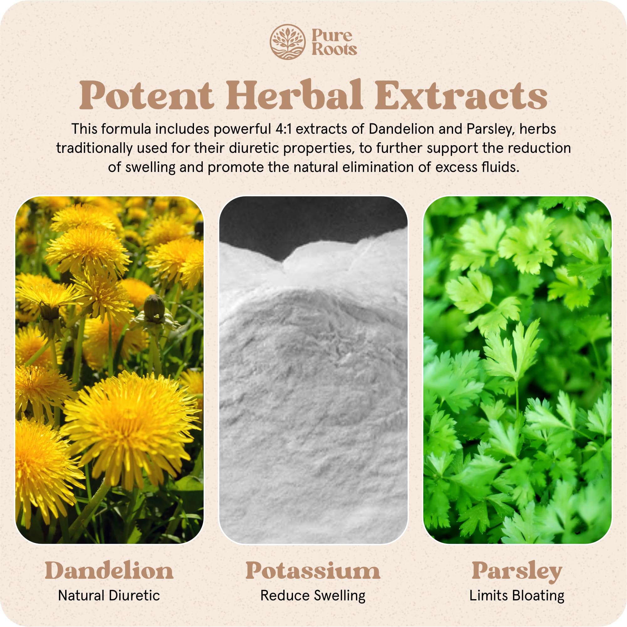 PureRoots Biotrim capsule close-up indicating a natural, stimulant-free option