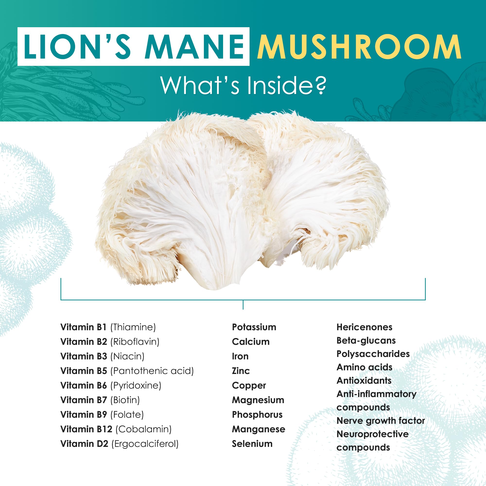 Lion’s Mane powder added to smoothie for easy daily use by Purest Mushrooms.