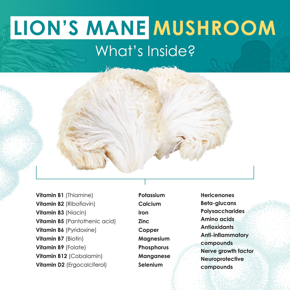 Lion’s Mane powder added to smoothie for easy daily use by Purest Mushrooms.