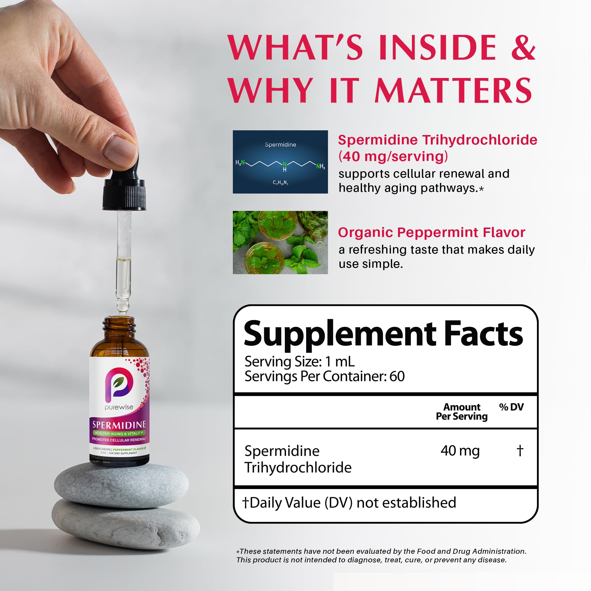 PureWise Spermidine Drops dropper close-up for precise serving.
