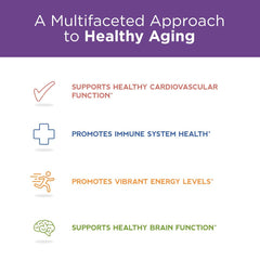 Purity Products CoQ10 Daily Super Boost ingredients chart highlights GinkgoSelect and Resveratrol